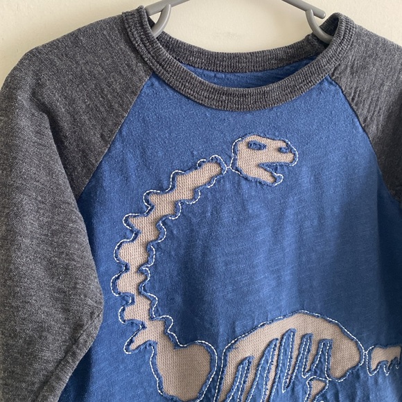 BabyGAP Toddler Boy Long Sleeve Dinosaur Tee - Picture 5 of 15